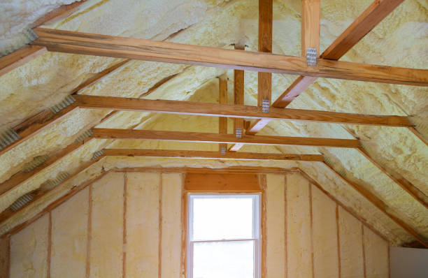 Best Residential Insulation in Kosciusko, MS