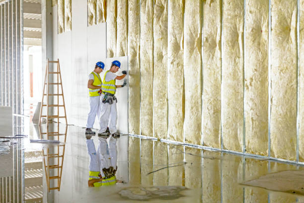 Best Commercial Insulation in Kosciusko, MS